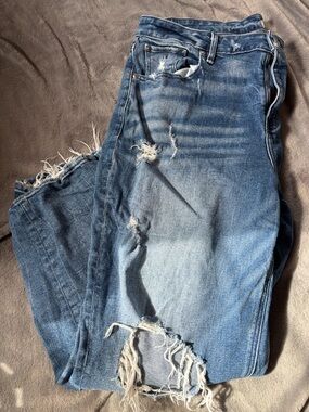 Lane Bryant Distressed Light Blue Straight Leg Jeans